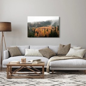 Obraz - Jesenný les (90x60 cm)