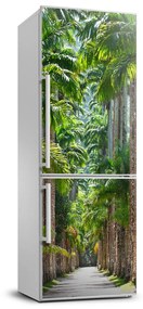 Nálepka tapeta na chladničku Príroda palmy FridgeStick-70x190-f-40053857