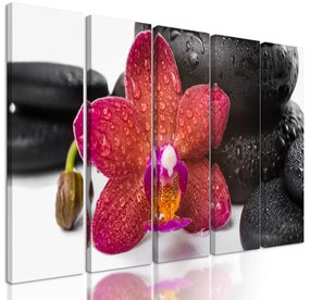 5-dielny obraz zen zátišie a orchidea