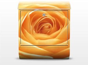 Poštová schránka Oranžová ruža