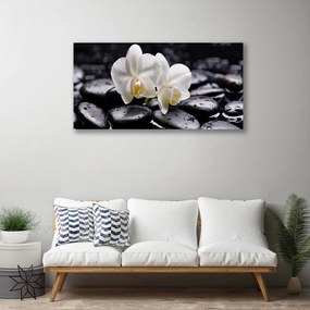 Obraz Canvas Kamene zen biela orchidea 120x60 cm