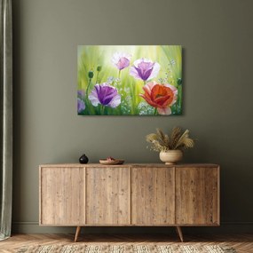 Obraz - Vlčie maky (90x60 cm)