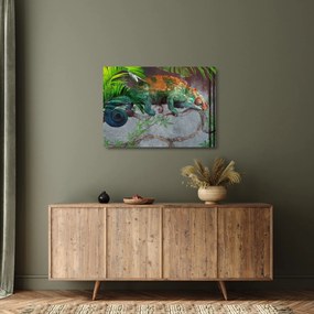 Sklenený obraz - Chameleon (70x50 cm)