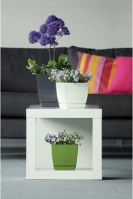 Prosperplast Kvetináč Coubi Square, 13,5 cm