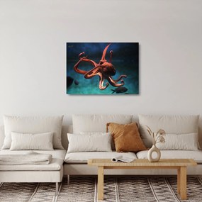 Sklenený obraz - Chobotnica (70x50 cm)