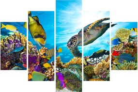 Obraz koralového útesu (150x105 cm)