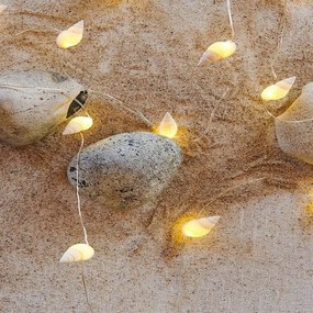 SIRIUS LED dekorácie, svetelná reťaz, morské mušle