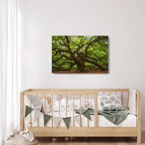 Obraz - Zelený strom (90x60 cm)