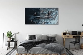 Obraz plexi Morská siréna 140x70 cm