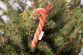 Lilliputiens - vianočný škriatok s cukrovou paličkou a čiapočkou