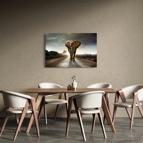 Obraz slona (90x60 cm)