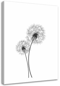 Obraz na plátně Foukač Květina Příroda - 70x100 cm
