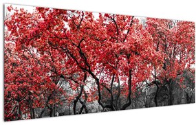 Obraz - Červené stromy, Central Park, New York (120x50 cm)