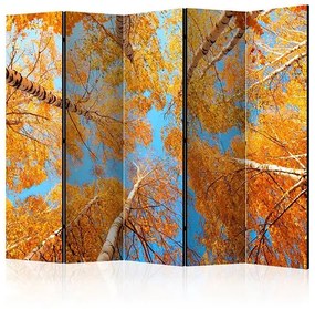 Paraván - Autumnal treetops II [Room Dividers]