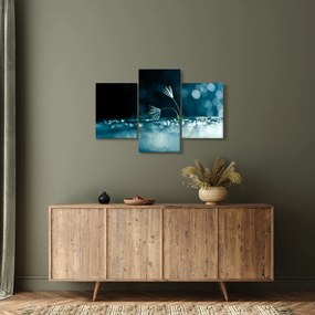 Obraz - Makro (90x60 cm)
