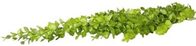 Popínavá rastlina 78cm zelená A2060048