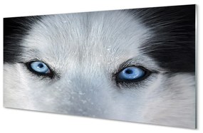 Sklenený obraz wolf Eyes 125x50 cm