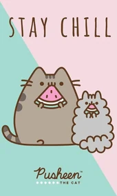 Detský uteráčik Mačička Pusheen Stay Chill 30x50 cm