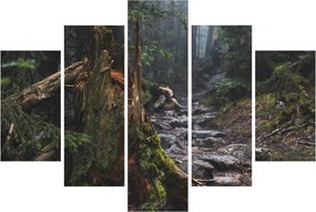 Obraz - V lese (150x105 cm)