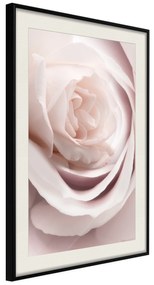 Artgeist Plagát - Porcelain Rose [Poster] Veľkosť: 30x45, Verzia: Zlatý rám s passe-partout