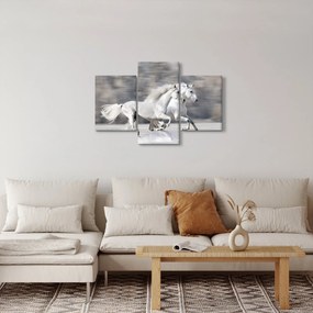 Obraz - Biele kone v zime (90x60 cm)