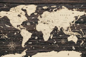 Obraz na korku hnedá mapa sveta na dreve