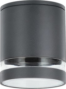 Rabalux Vonkajšie stropné prisadené svietidlo Zombor 1x35W | GU10 | IP54 - antracit 7817