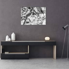 Obraz - Modrý vták v zime (70x50 cm)