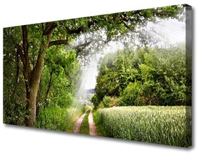 Obraz Canvas Stromy chodník príroda 100x50 cm