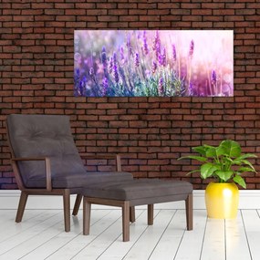 Obraz - Levanduľa vo trblietania slnka (120x50 cm)