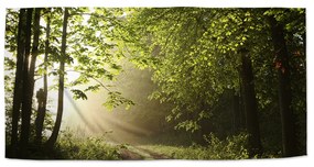 Sablio Uterák Lesná cestička - 50x100 cm