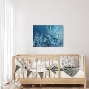 Obraz - Kvapky rosy (70x50 cm)