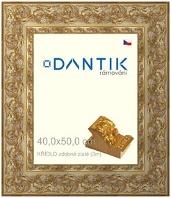 DANTIK rám na obraz 40x50 | KŘÍDLO zdobné zlaté (Plexi Čiré)