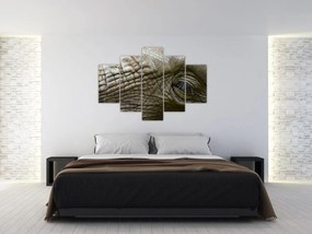 Obraz - Detailné fotografie starého slonieho oka (150x105 cm)