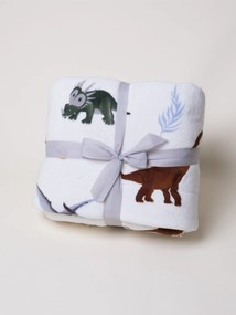 Baránková deka mikroplyš Exclusive 150 × 200 cm – Dinosaury