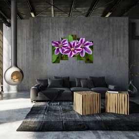 Súkvetia rastliny, obraz do bytu