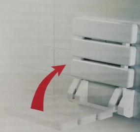 BISK Erga Handicap PRO, nástenné sedadlo do sprchy so sklápaním 320x328 mm, biela, ERG-07623