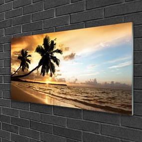 Skleneny obraz Palma stromy pláž krajina 100x50 cm