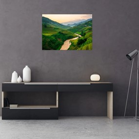 Sklenený obraz - Ryžové terasy II. (70x50 cm)