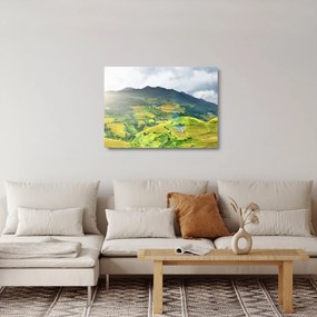 Sklenený obraz plantáže (70x50 cm)