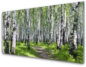 Obraz na akrylátovom skle Les chodník príroda 100x50 cm
