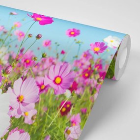 Samolepiaca fototapeta lúka jarných kvetov - 150x100