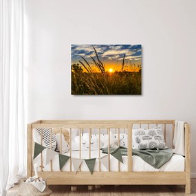Sklenený obraz pole pri západe slnka (70x50 cm)