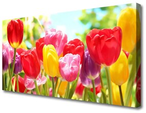 Obraz Canvas Tulipány kvety rastlina 120x60 cm