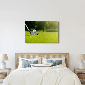 Obraz - Golf (90x60 cm)