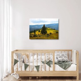 Sklenený obraz - Horská lúka (70x50 cm)