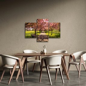 Obraz - sad čerešní (90x60 cm)