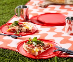 Taniere na piknik, 4 ks