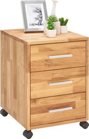 XXXLutz KONTAJNER NA KOLIESKACH, 40/56,7/42 cm Linea Natura - Kontajnery - 002748003702