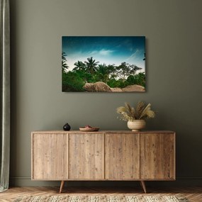 Obraz - palmy (90x60 cm)